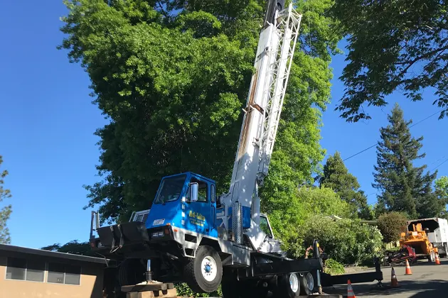 Crane truck next to tall green trees under a clear blue sky.