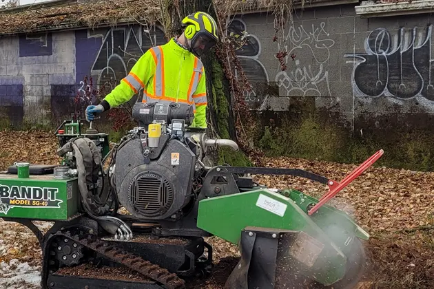 Worker operating a Bandit stump grinder near a graffiti-covered wall.
