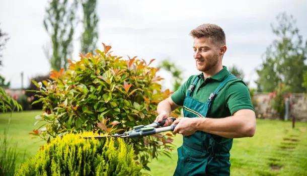 Man trimming a bush with hedge shears in a garden.