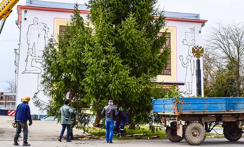 How Tree Pruning Improves Curb Appeal And Helps Your Home Value