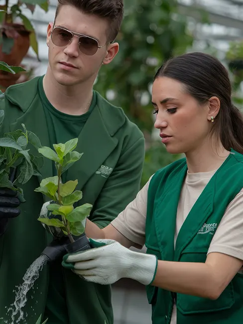 Two people in green uniforms tending to plants in a greenhouse.