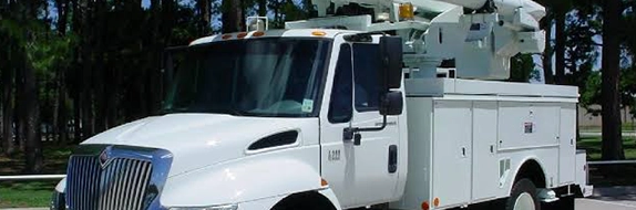 White Utility Truck for Tree Services Parked Near Pine Trees