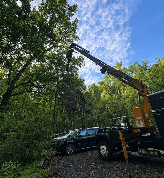 Crane Removing Large Tree Branch Near Black Trucks in Forested Area